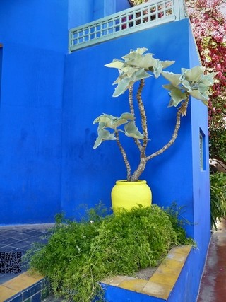 Jardin majorelle   |   34  /  47    |